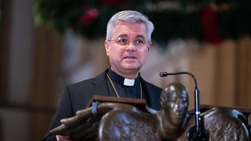 Katholische Kirche: Papst ernennt neue Erzbischöfe von Paderborn und Bamberg