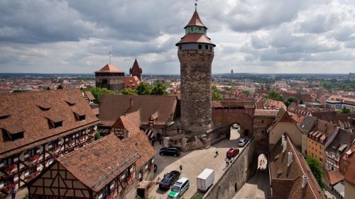 Tiere: Erster Flug von jungem Wanderfalken der Kaiserburg