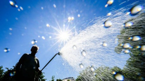 Niedersachsen und Bremen: Zu wenig Regen - Oberboden staubtrocken