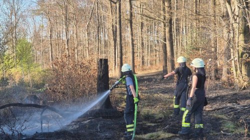 Waldbrand: Erneut Fläche im Königsforst in Flammen