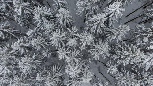 Wetter: Schnee in Berlin und Brandenburg
