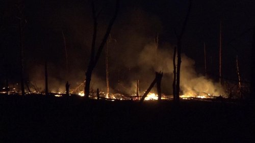 Brände: Waldbrand bei Jüterbog auf 326 Hektar mehr als verdoppelt