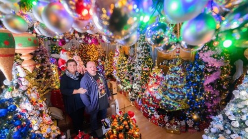 Festschmuck: Rekord: Paar stellt 555 Weihnachtsbäume zu Hause auf