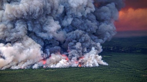Kanada: Lage in kanadischen Waldbrandgebieten entspannt sich leicht