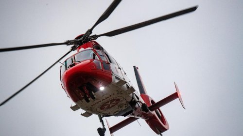 Kreis Mainz-Bingen: Kollision mit Vogel: Hubschrauber landet auf Feldweg