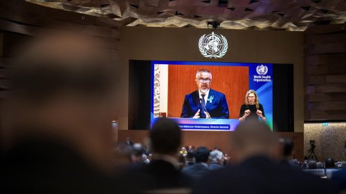 Weltgesundheitsorganisation: Deutschland kündigt Finanzhilfen für WHO an