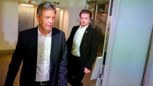 Robert Habeck: Habeck soll laut Haßelmann in Auswärtigen Ausschuss wechseln