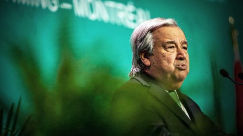 Artenschutz: UN-Chef Guterres warnt vor "Krieg gegen die Natur"