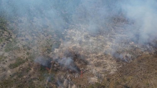 Jüterbog: Wald bei Jüterbog brennt: Feuerwehreinsatz dauert an