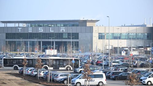 Auto: Drohender Stellenabbau bei Tesla: FDP fordert Handeln
