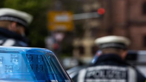 Tiere: Rehbock "Hansi" bricht in Arztpraxis ein
