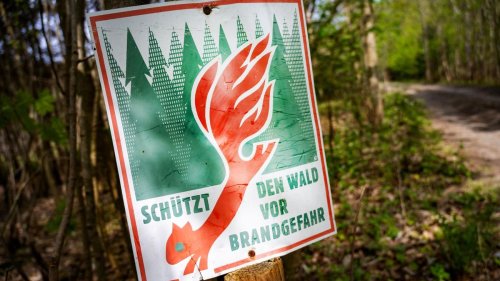 Wetter: Feuerwehr zu Brandgefahr: Rauchen im Wald strikt verboten