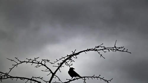 Wetter in NRW: Gewitter und Starkregen ab dem Nachmittag