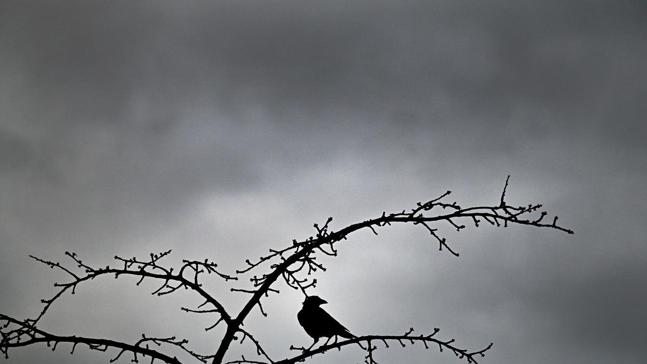 Wetter in NRW: Gewitter und Starkregen ab dem Nachmittag
