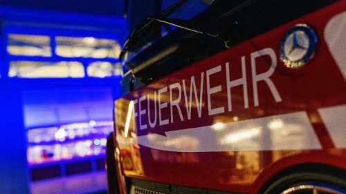 Waldeck-Frankenberg: Stroh- und Heuballen brennen: Rinder gerettet