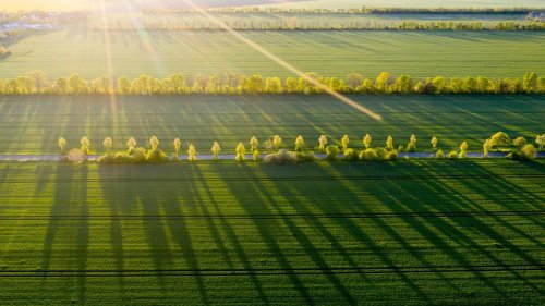 Wetter: Auf Wolken folgt Sonne: Das Wetter am Wochenende