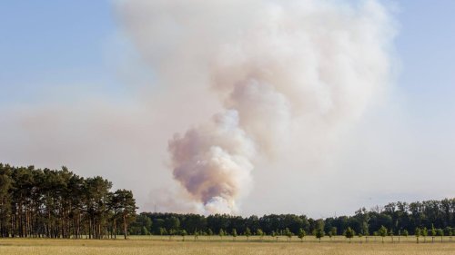 Jüterbog: Brand auf ehemaligem Truppenübungsplatz breitet sich weiter aus