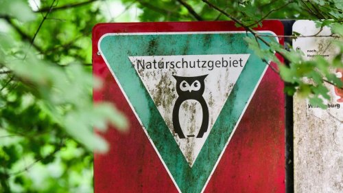 Umwelt: Umweltschützer: Mehr Schutzgebiete in Niedersachsen