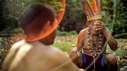 Amazonas: Leuchtend, essbar, giftig oder heilend