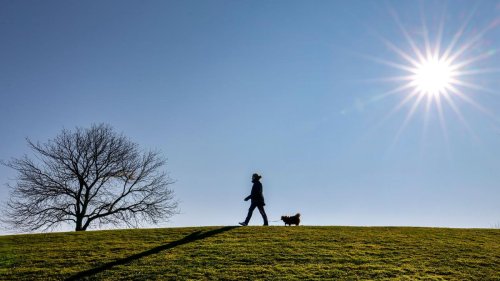 Frühling: Neue Woche bringt Frühlingswetter