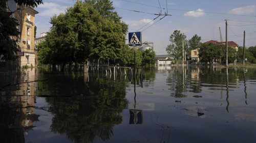Zerstörung des Kachowka-Staudamms: "Städte kann man evakuieren, Tiere und Natur haben keine Chance"