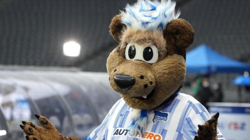 Fußball: Verhärtete Fronten: Hertha fordert Entschuldigung von Fans