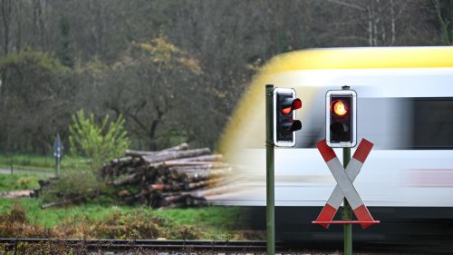 Verkehr: Bus auf Bahnübergang - Narren verhindern Zugunglück