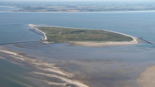 Nationalpark Wattenmeer: Erneut Wal auf Nordseeinsel gestrandet