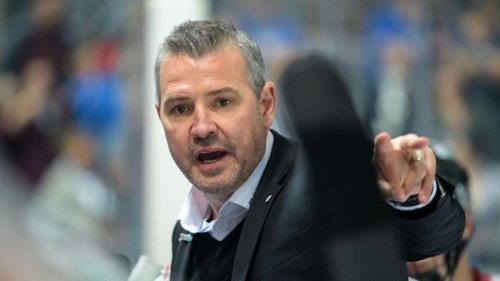 Eisbären-Coach: Aubin fordert "Reaktion" gegen Spitzenreiter München