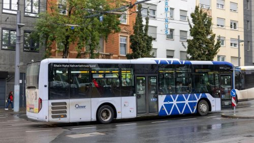 Kriminalität: Tausende Straftaten in Bus und Bahn - meist Schwarzfahren