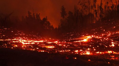 Hitzewelle in Lateinamerika: Zahl der Toten bei Waldbränden in Chile steigt auf mehr als 20