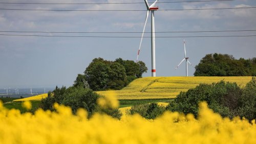 Wetter: Überwiegend heiterer Sonntag in Berlin und Brandenburg