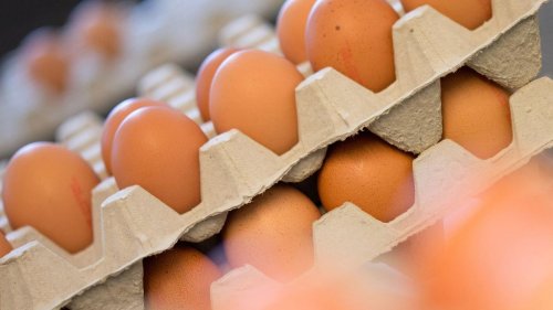 Tierhaltung : Weniger Hühner produzieren weniger Eier im Südwesten