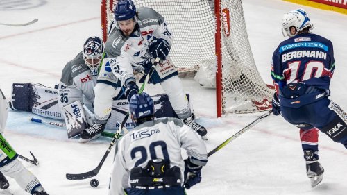 Eishockey: Dresdner Eislöwen verpflichten Justin Braun