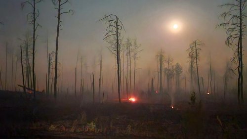 Brandenburg: Waldbrand bei Jüterbog breitet sich weiter aus