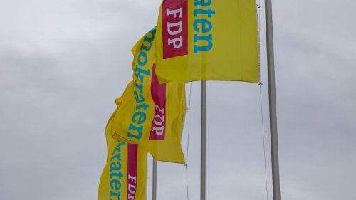 FDP und Brandmauer: FDP-Mitglieder auf Distanz zu Initiative gegen Brandmauer