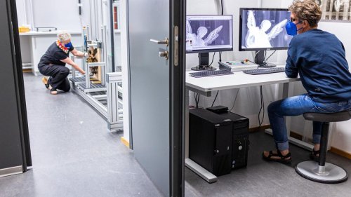 Forschung: In Europa einzigartig: 3D-Röntgensystem analysiert Kunst