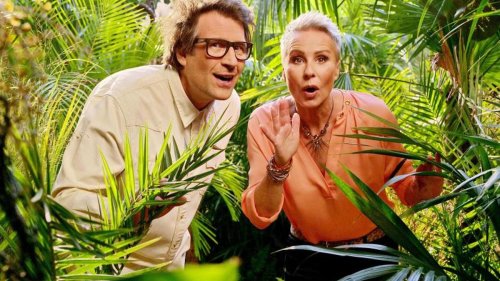 TV-Show: Warzenschwein statt Känguru: Der RTL-Dschungel hat begonnen