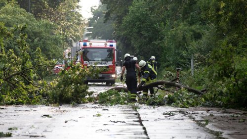 Unwetter: Schwere Gewitter: Bäume umgestürzt, Telefone ausgefallen