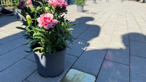 80 Jahre Kriegsende: Stolpersteine für im Mai 1945 hingerichtete Matrosen