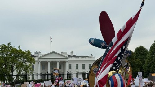 Demonstrationen: Neue landesweite Proteste gegen Trump