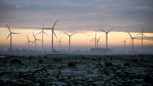 Energiewende: Olaf Scholz will Windkraftausbau "generalstabsmäßig" vorantreiben