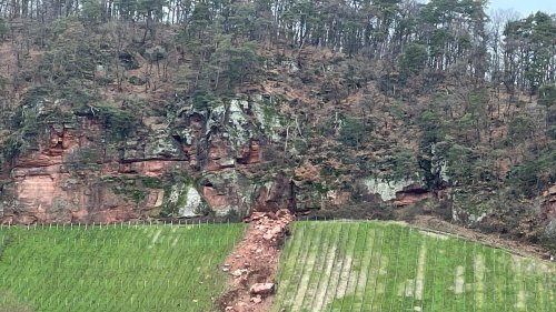 Umwelt: Fachleute untersuchen nach Felsrutsch in Trier das Gestein