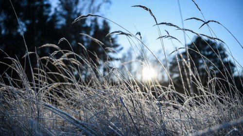 Wetter: Sonne und Frost in Berlin und Brandenburg
