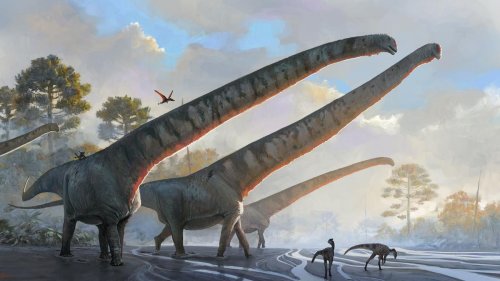 Paläontologie: Wissenschaftler finden Dinosaurier mit bislang längstem Hals