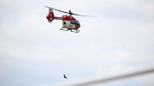 Polizei: Mann stirbt nach Bad in Weiher