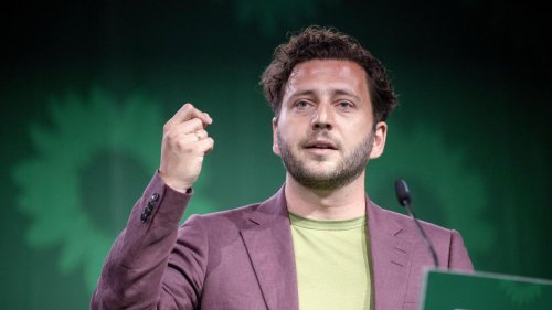 Parteiverbot: Bundesvorsitzender der Grünen will AfD-Verbotsverfahren