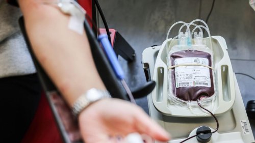 Sondertermin am 19. April: Rotes Kreuz ruft zu Blutspenden über Ostern auf