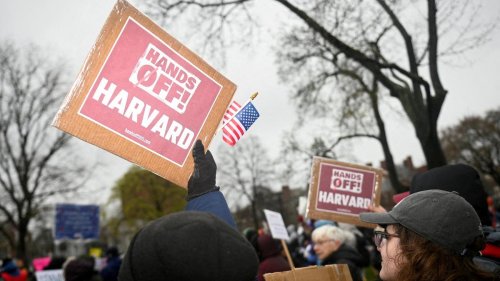 US-Universität: Harvard verklagt US-Regierung wegen Sperrung von Bundesmitteln