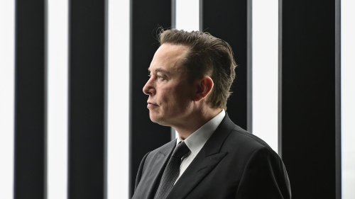 Twitter: Elon Musk will gesperrte Konten freischalten